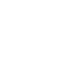 Capital Market Solution Award 2020